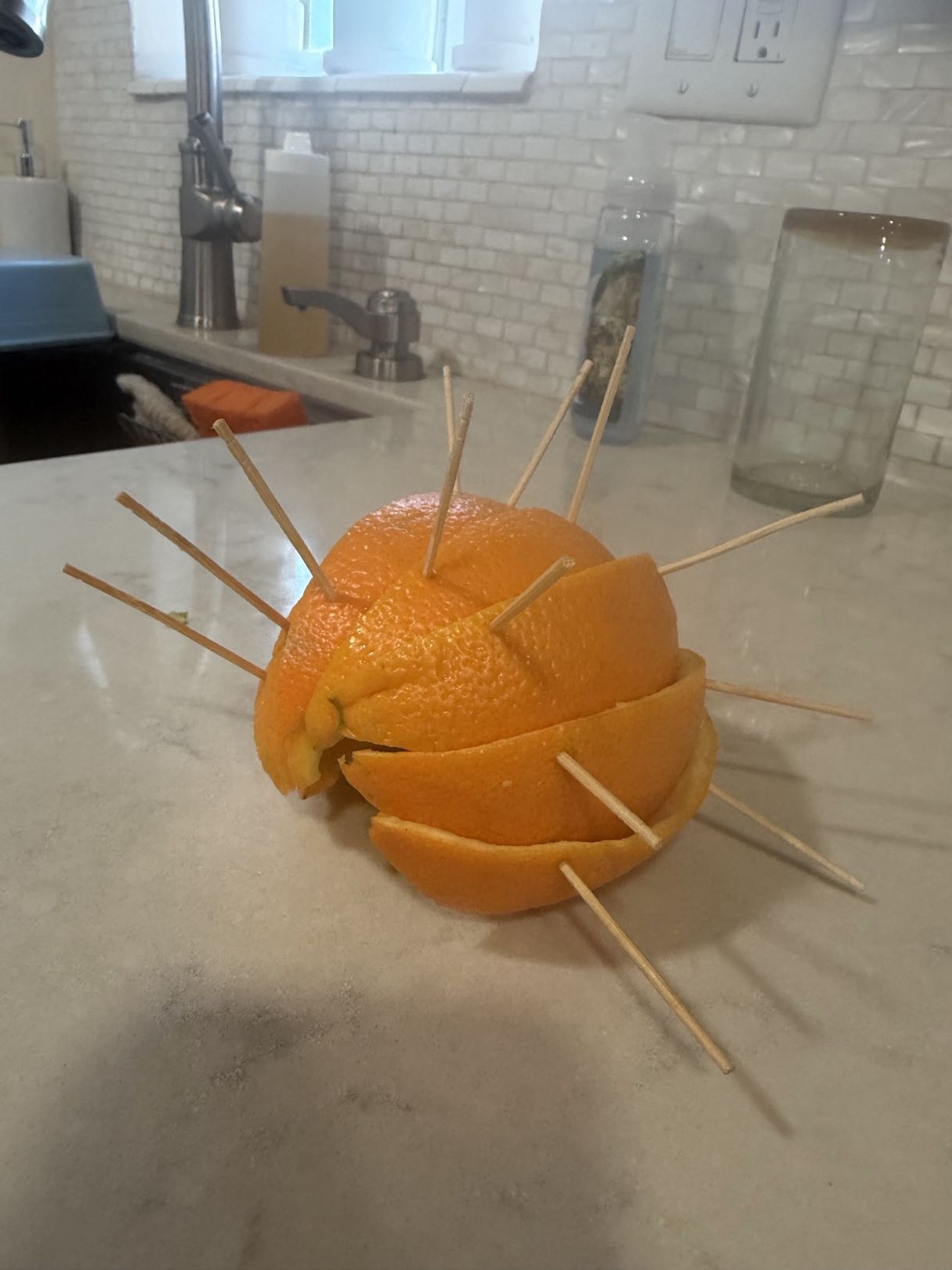Orange with toothpicks arranged to show segmented pillbug form