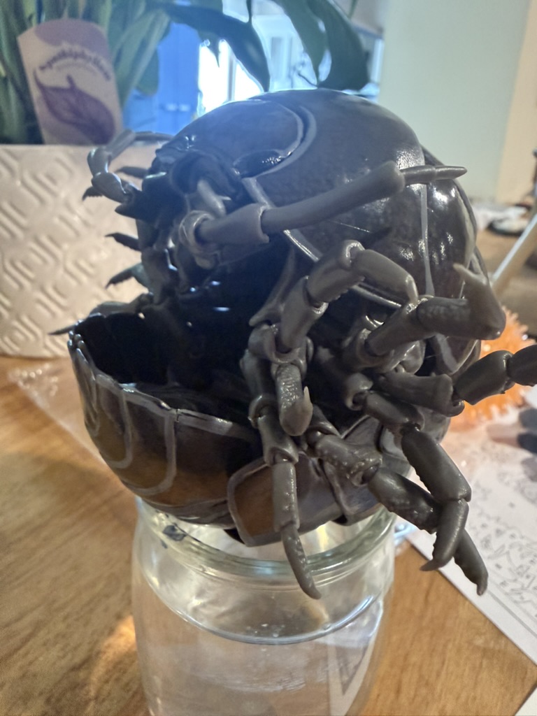 Pill bug model rolled up on a jar