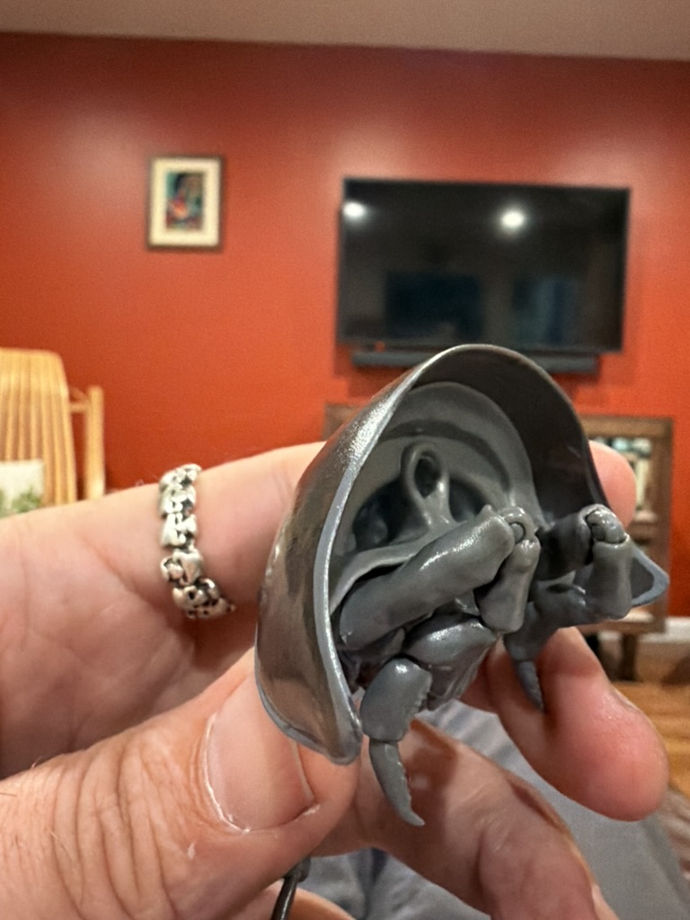 Pill bug toy segment underside with legs